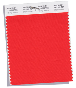 16493226_pantone-fashion-color-trend-report-new-york-spring-2018-swatch-cherry-tomato